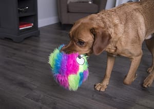 goDog Furballz with Chew Guard Technology