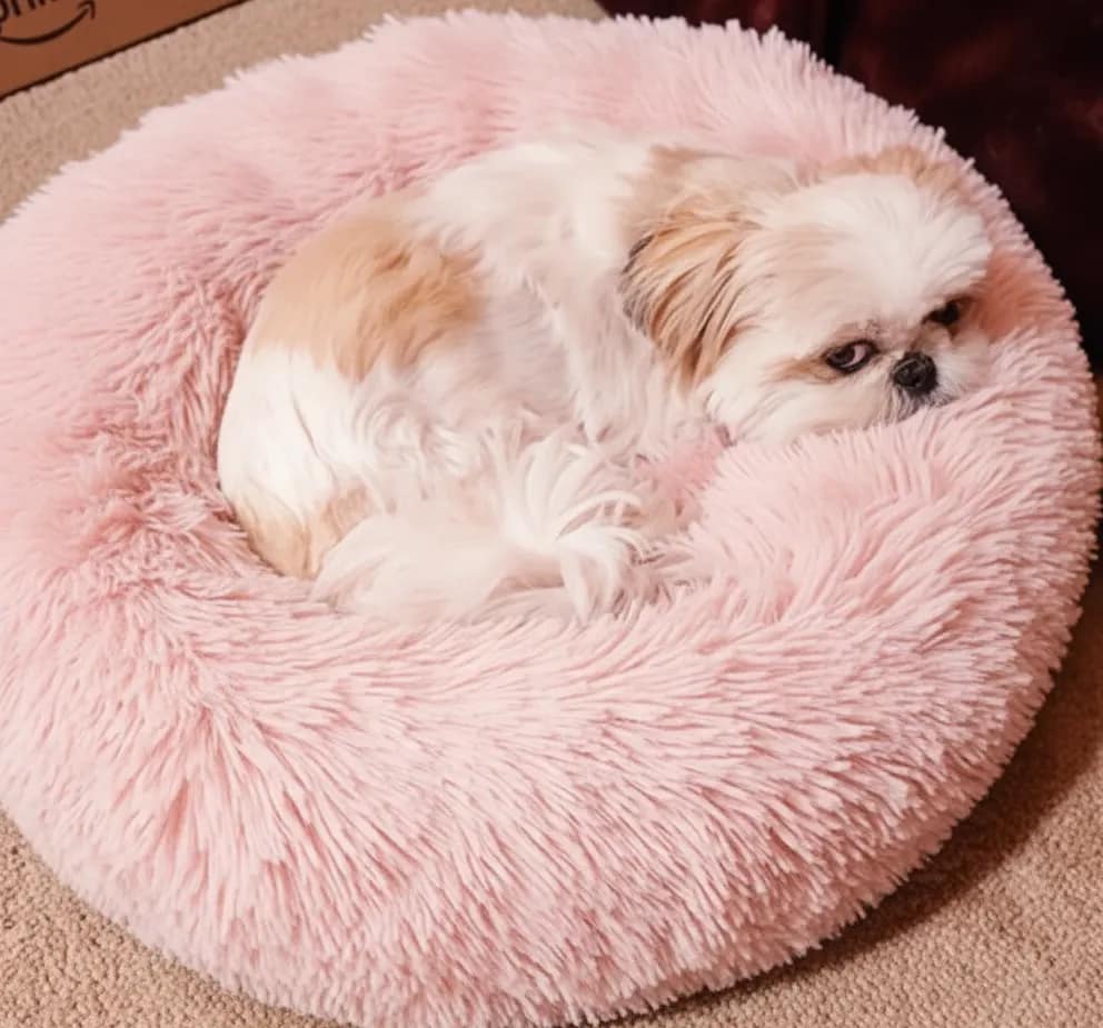 MIXJOY orthopedic donut dog bed ultra soft washable