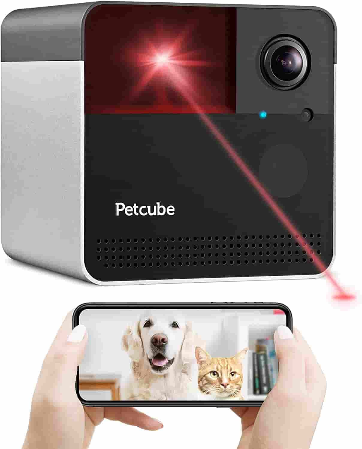 Petcube Camera Play 2 The Smartest Pet Camera For Dogs [New 2020]