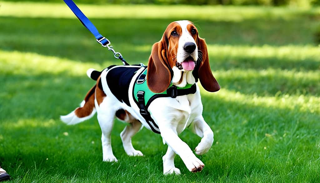 8 Best No-Pull Harnesses for Basset Hounds for 2024 ( TOP PICKS )