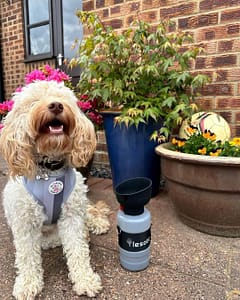 Lesotc Dog Water Bottle, Portable Dog Water Dispenser, Leak Proof Dog Travel Water Bottle, Squeeze Pet Water Bottle for Walking On The Go