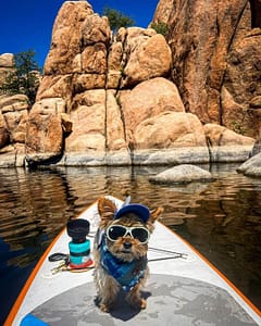 lesotc Dog Water Bottle,