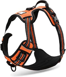 Chai's Choice Dog Harness Vest Large
