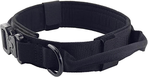 5 Best Dog Collars for Rottweilers in 2024: Find Your Rottweiler’s ...