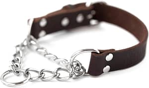 Mighty Paw Martingale Dog Collar