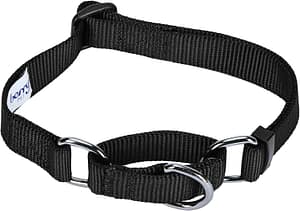 Blueberry Pet Essentials Martingale Safety Training Dog Collar