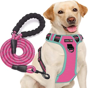 Best Dog Harnesses for Keeshonds in 2024: Discover the Top 5 Harnesses ...