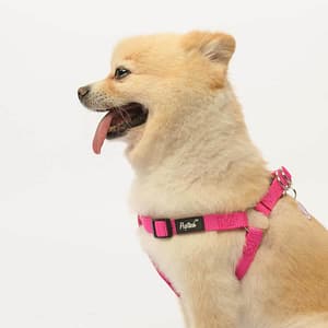 PUPTECK No Pull Dog Harness Soft Adjustable Basic Nylon Step in Puppy Vest Outdoor Walking with ID Tag Medium