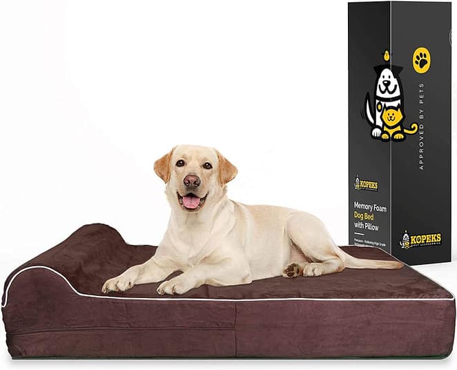 8 Best Dog Beds For Lhasa Apsos In 2025 Ultimate Photo Inspiration