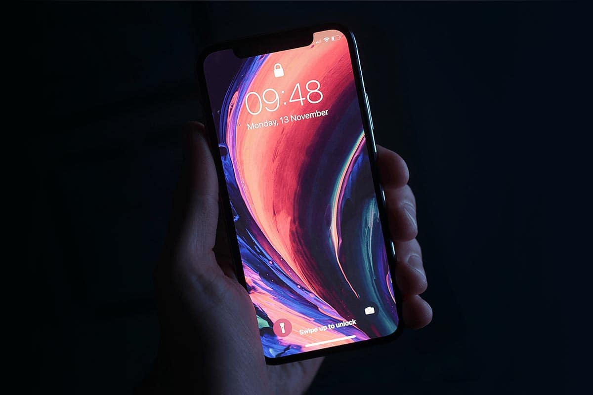 These 47 Wild Animals Will Make You Laugh Out Loud Dogs Lovers Blog